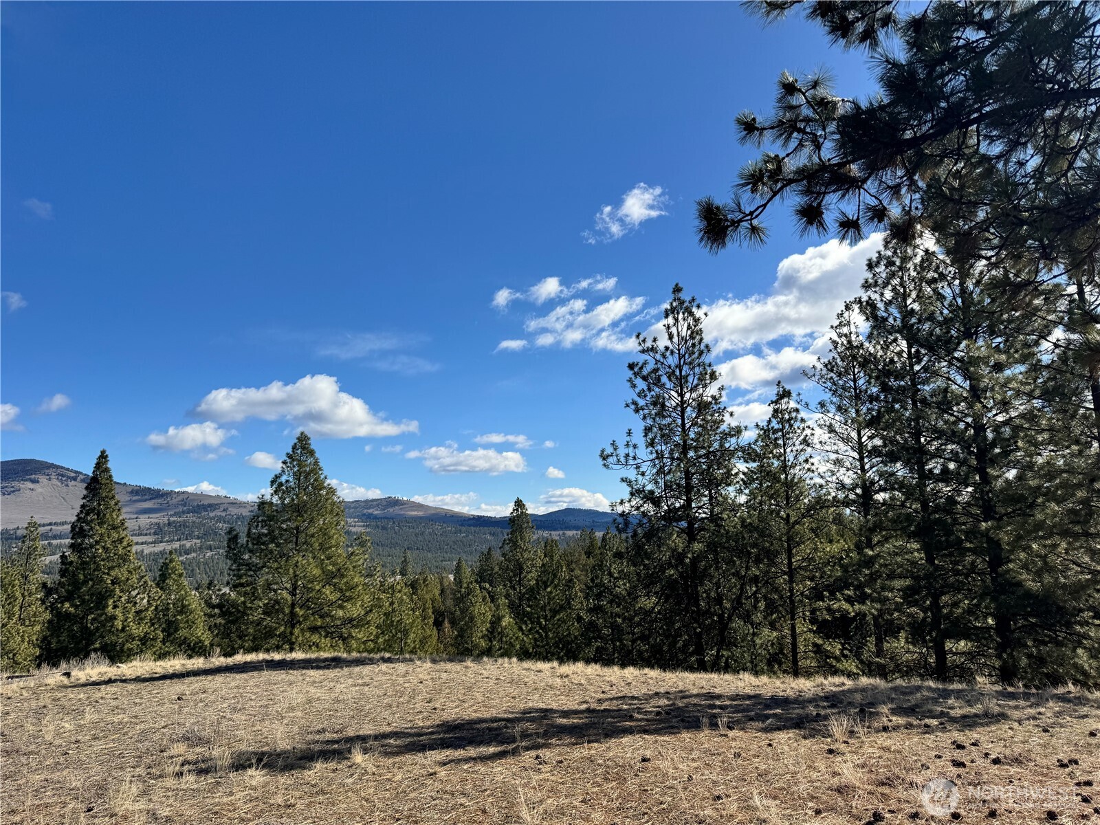79 Bench Creek Road , Tonasket, WA 98855