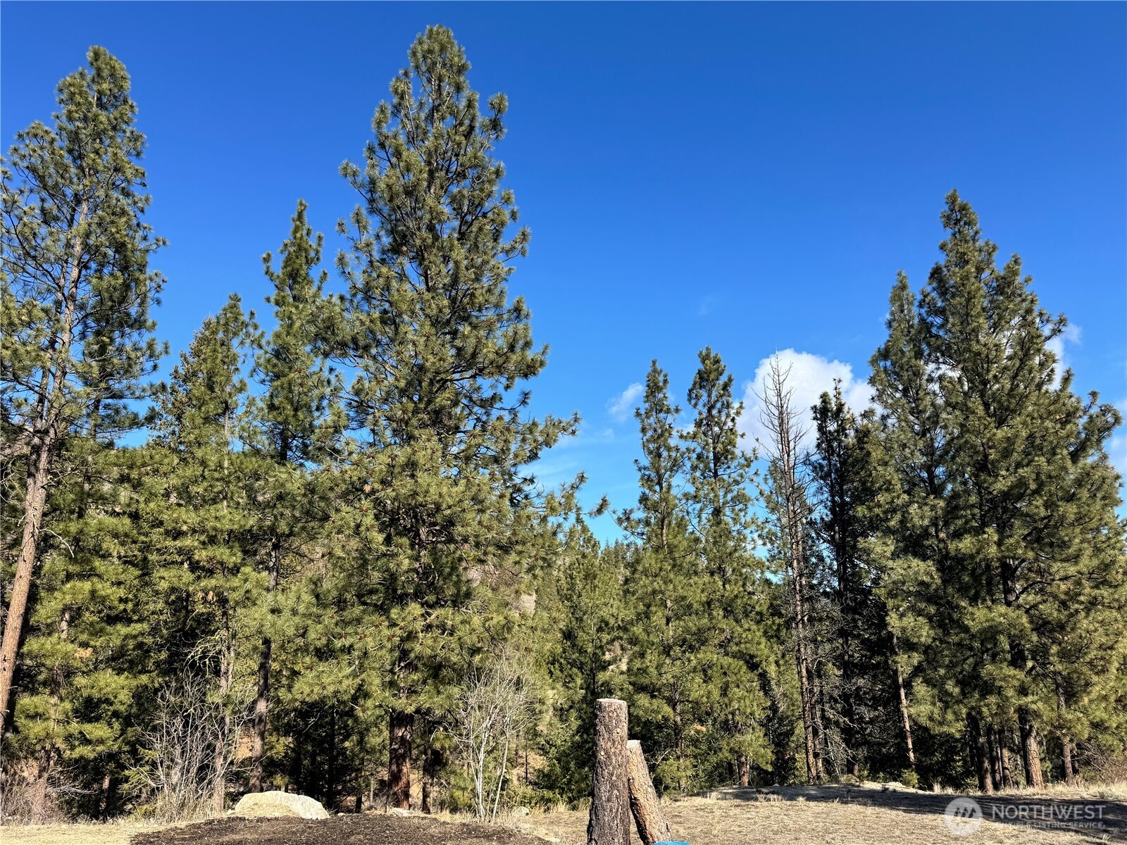 79 Bench Creek Road , Tonasket, WA 98855