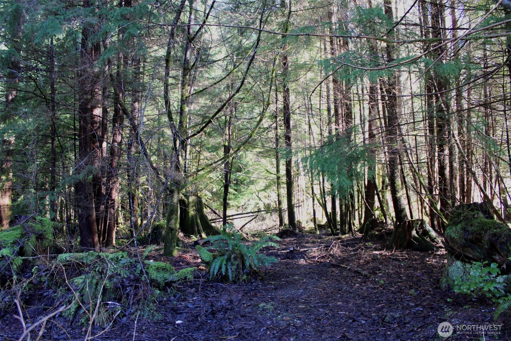 22972 Osborne Drive , Mount Vernon, WA 98274