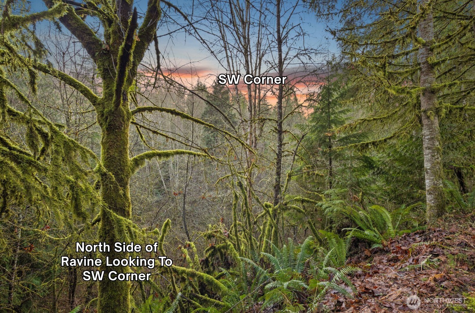 10202 200th Street NE, Arlington, WA 98223