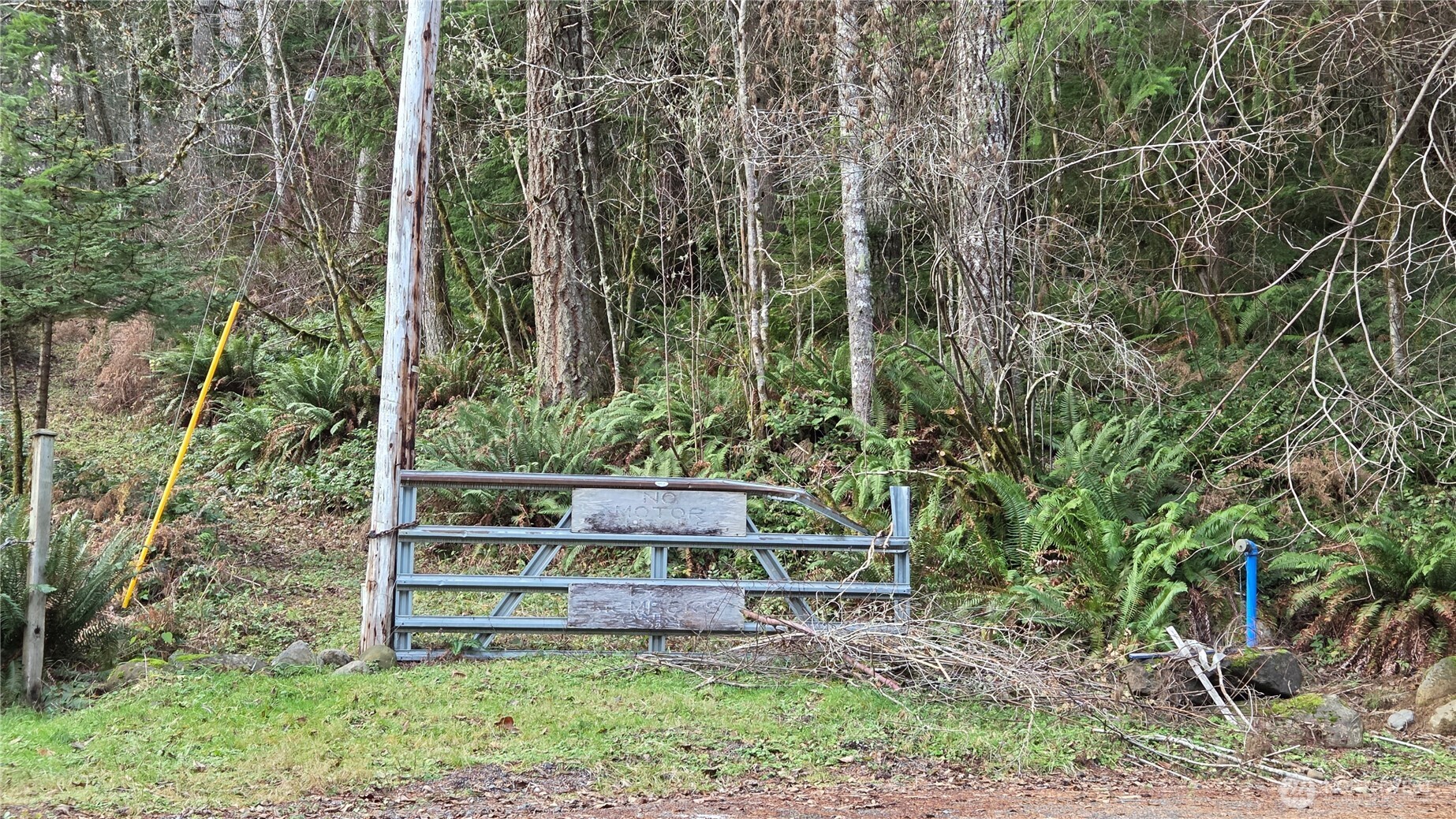 0 Kautz Place , Ashford, WA 98304