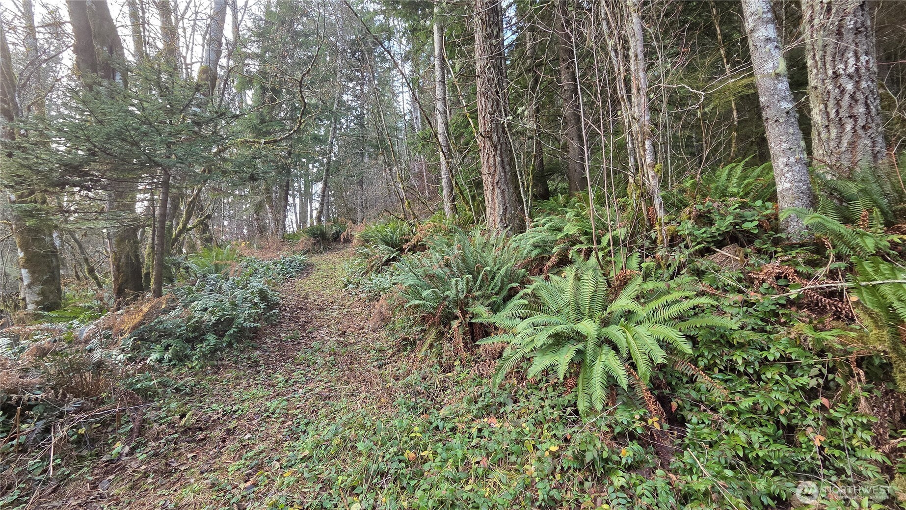 0 Kautz Place , Ashford, WA 98304