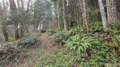 0 Kautz Place , Ashford, WA 98304 - Photo 11