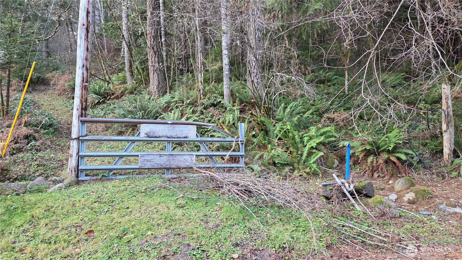 0 Kautz Place , Ashford, WA 98304