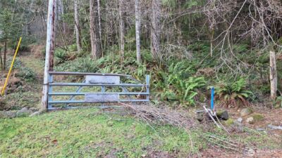 0 Kautz Place , Ashford, WA 98304 - Photo 12