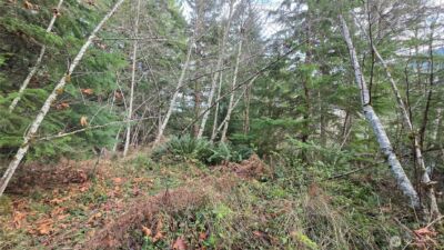 0 Kautz Place , Ashford, WA 98304 - Photo 4