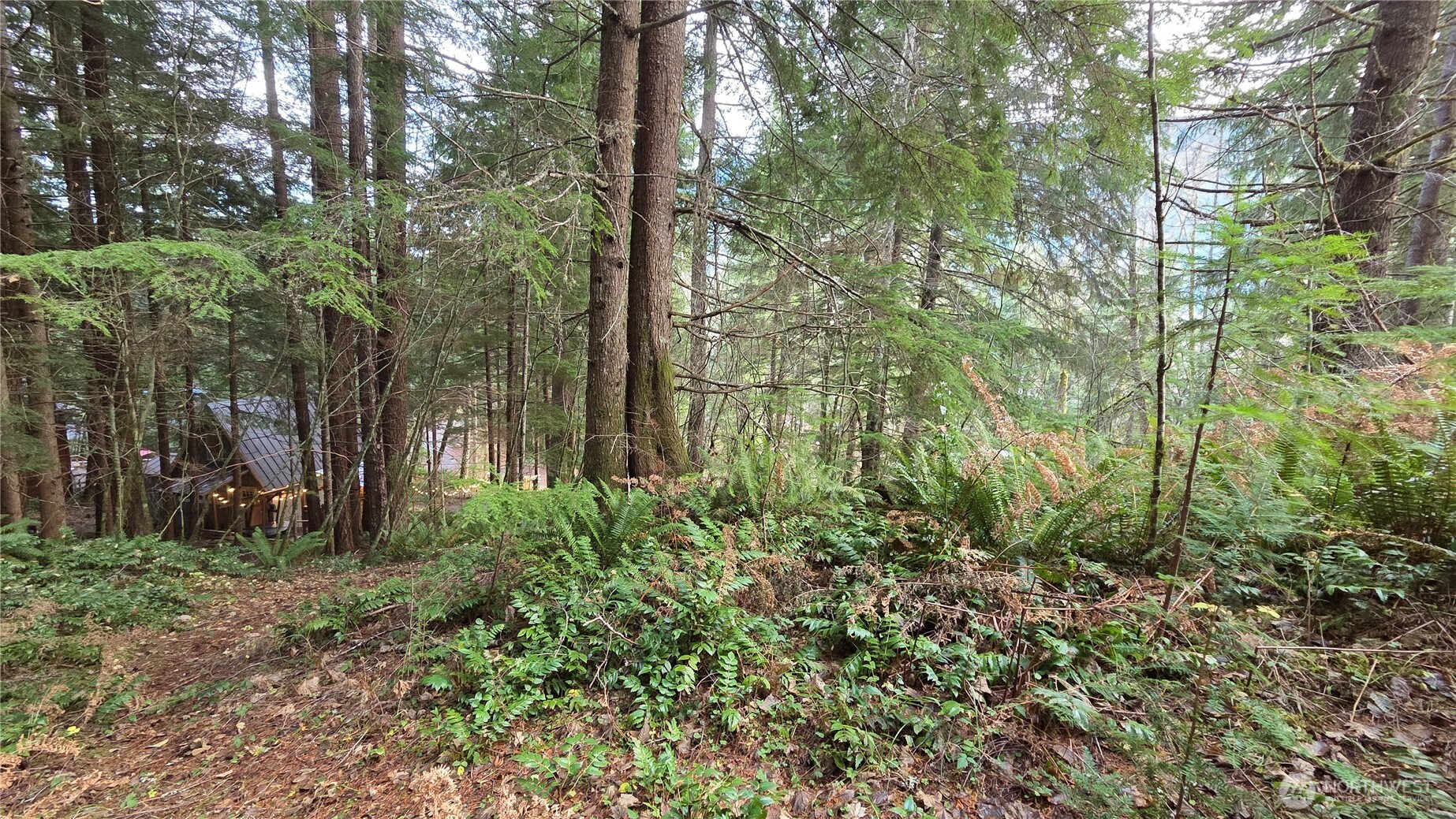 0 Kautz Place , Ashford, WA 98304