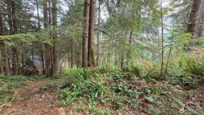 0 Kautz Place , Ashford, WA 98304 - Photo 6