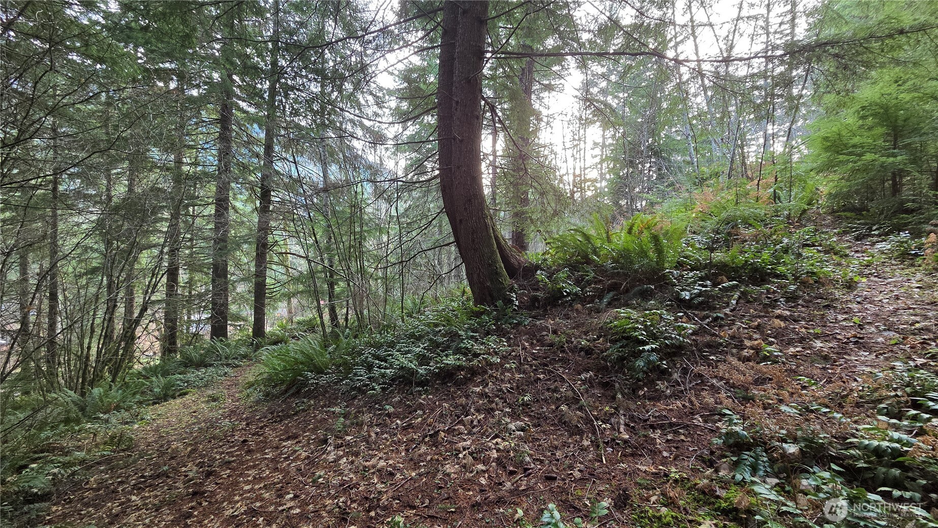 0 Kautz Place , Ashford, WA 98304