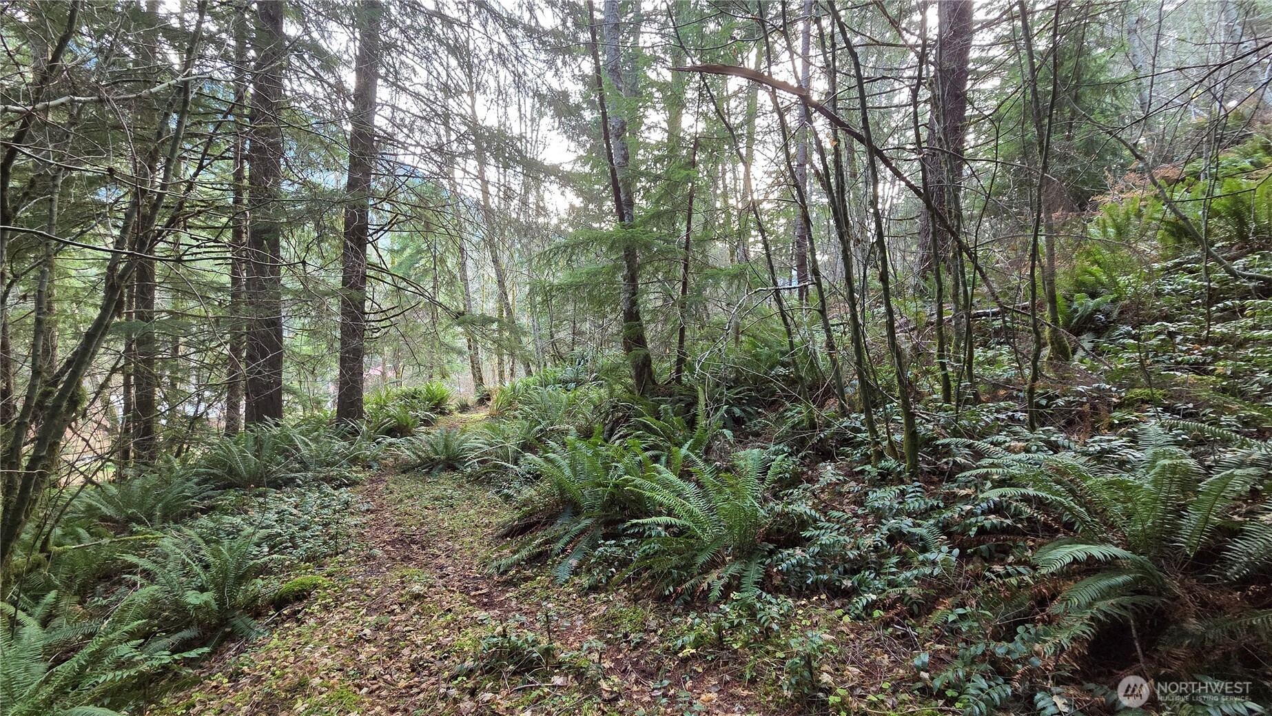 0 Kautz Place , Ashford, WA 98304