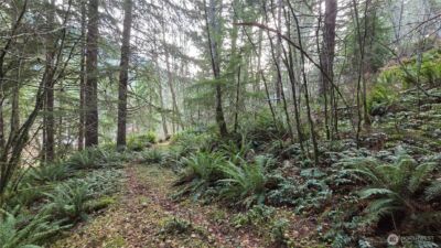 0 Kautz Place , Ashford, WA 98304 - Photo 8