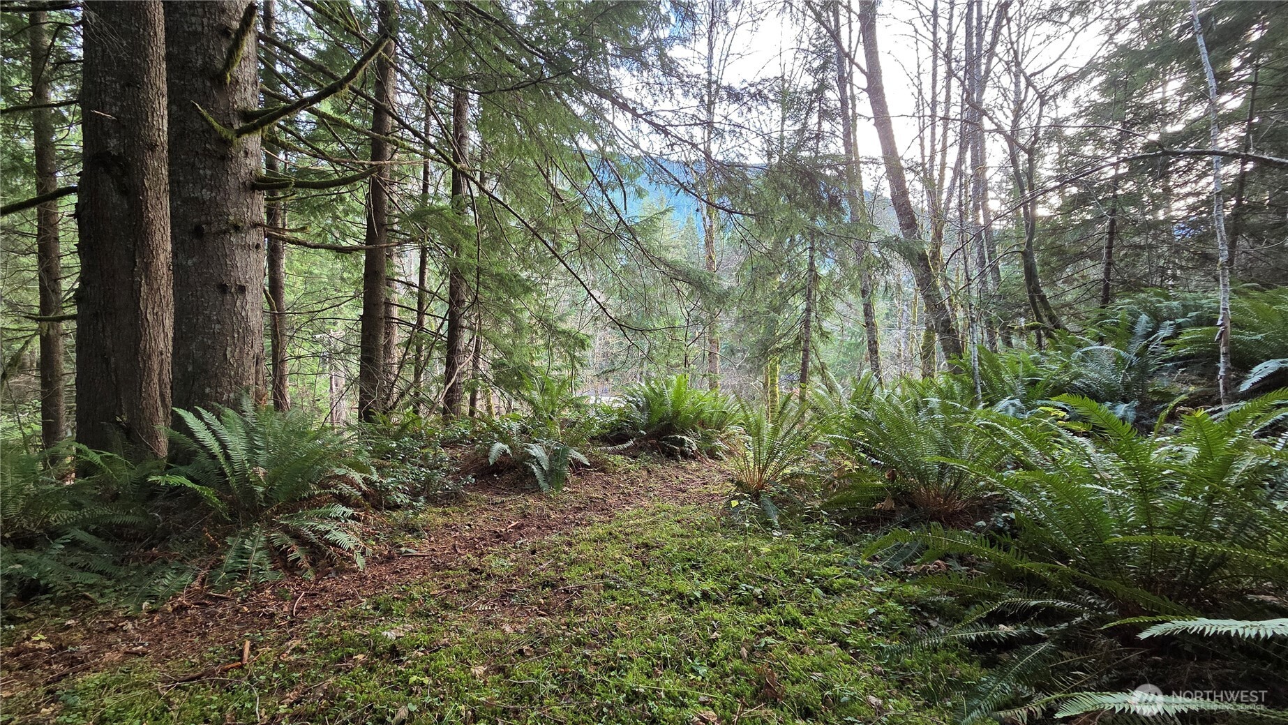 0 Kautz Place , Ashford, WA 98304