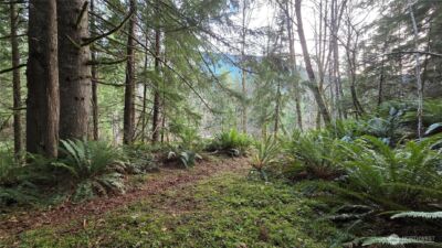 0 Kautz Place , Ashford, WA 98304 - Photo 9