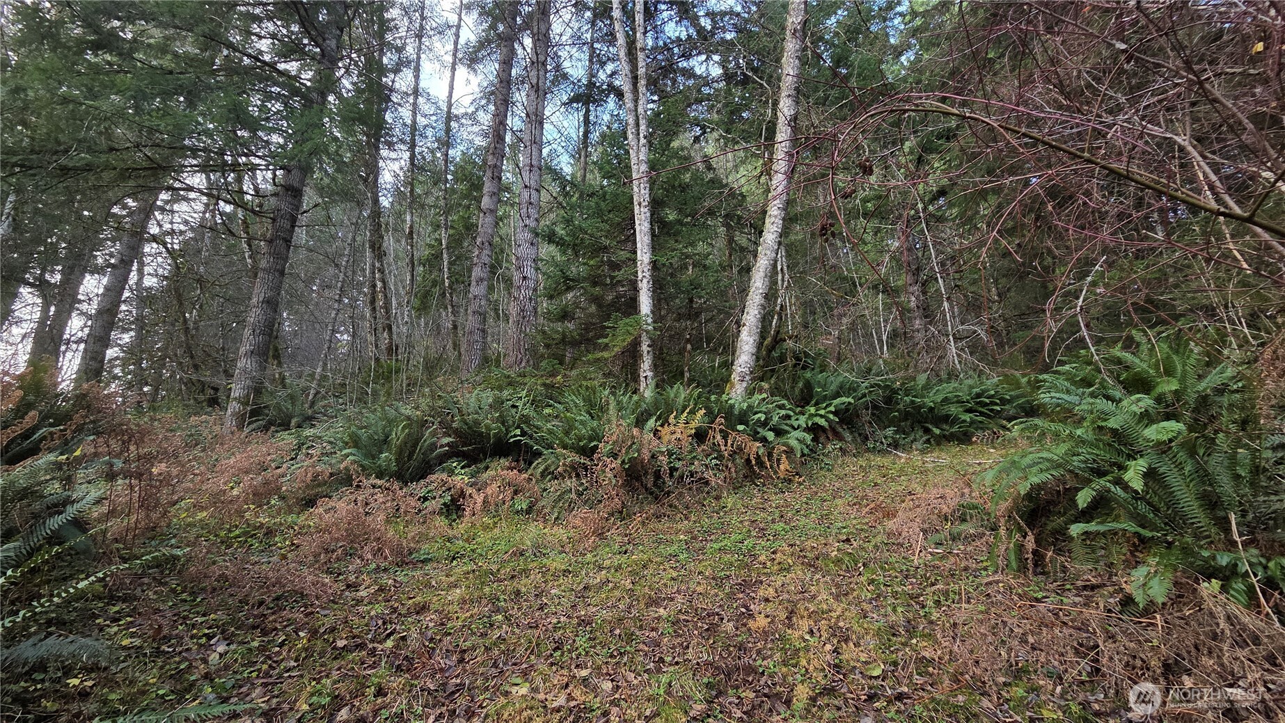 0 Kautz Place , Ashford, WA 98304