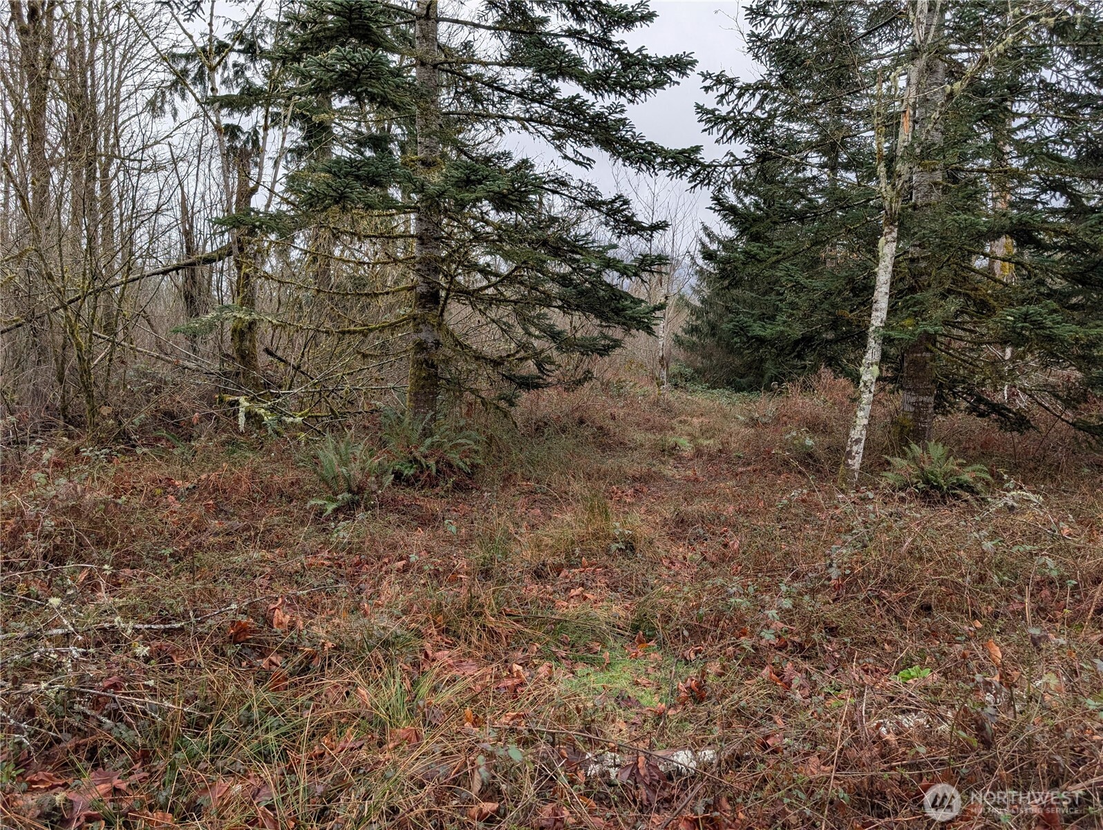 427 XX 156th Street SE, Gold Bar, WA 98251