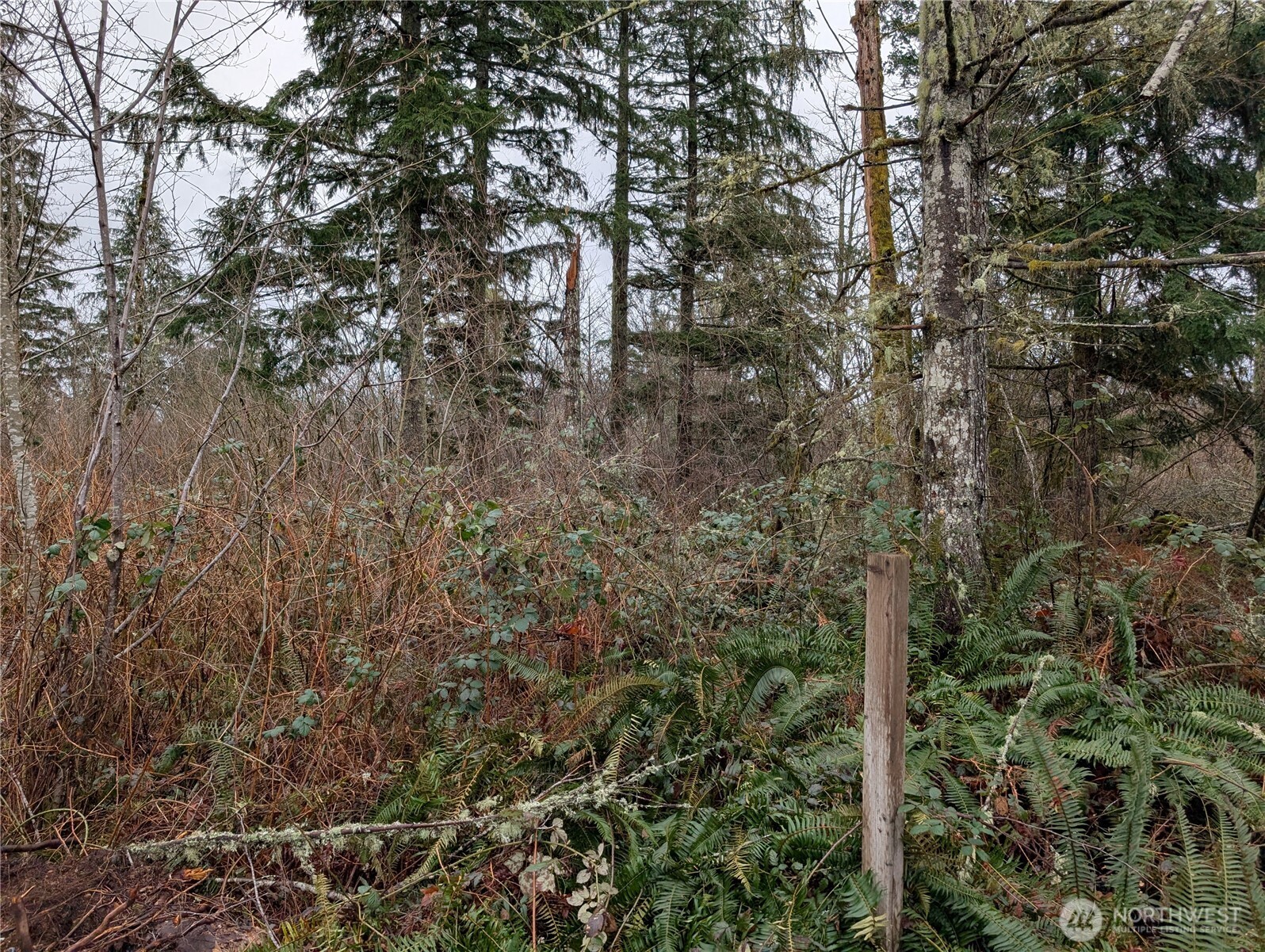 427 XX 156th Street SE, Gold Bar, WA 98251