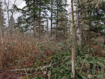 427 XX 156th Street SE, Gold Bar, WA 98251 - Photo 11