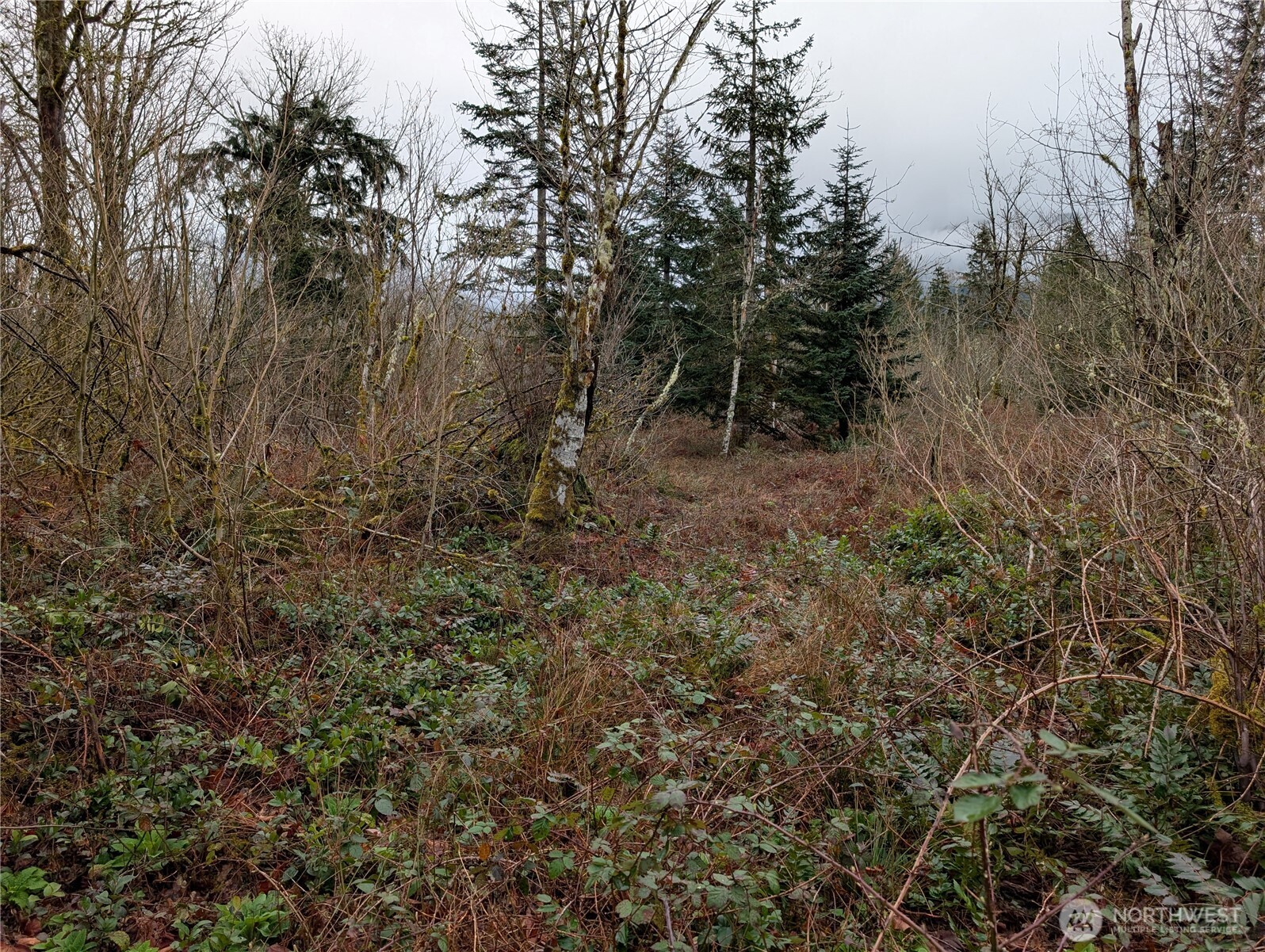 427 XX 156th Street SE, Gold Bar, WA 98251