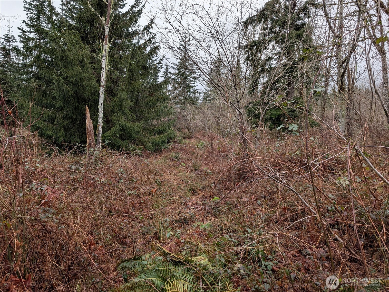 427 XX 156th Street SE, Gold Bar, WA 98251