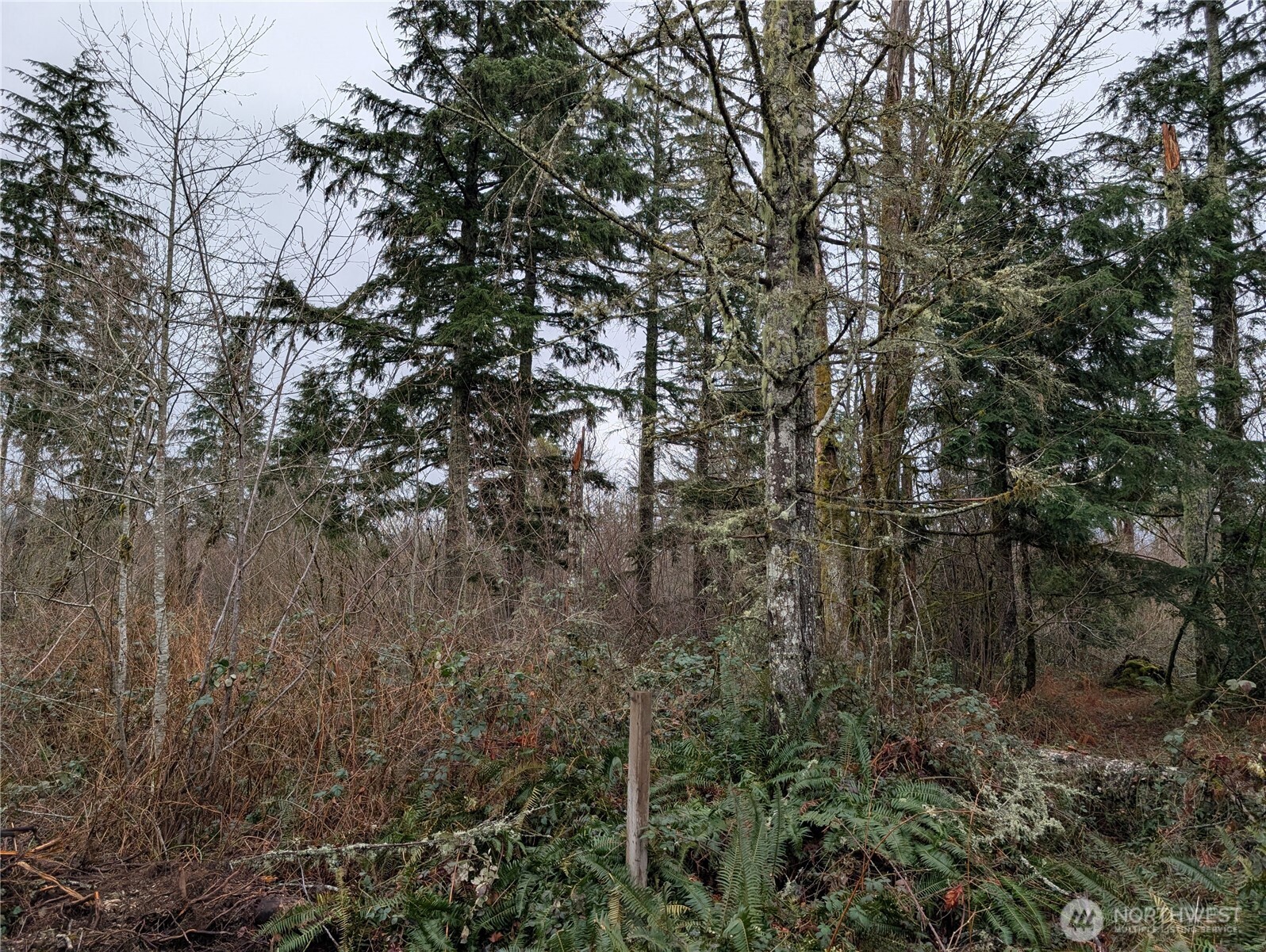 427 XX 156th Street SE, Gold Bar, WA 98251