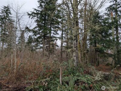 427 XX 156th Street SE, Gold Bar, WA 98251 - Photo 14