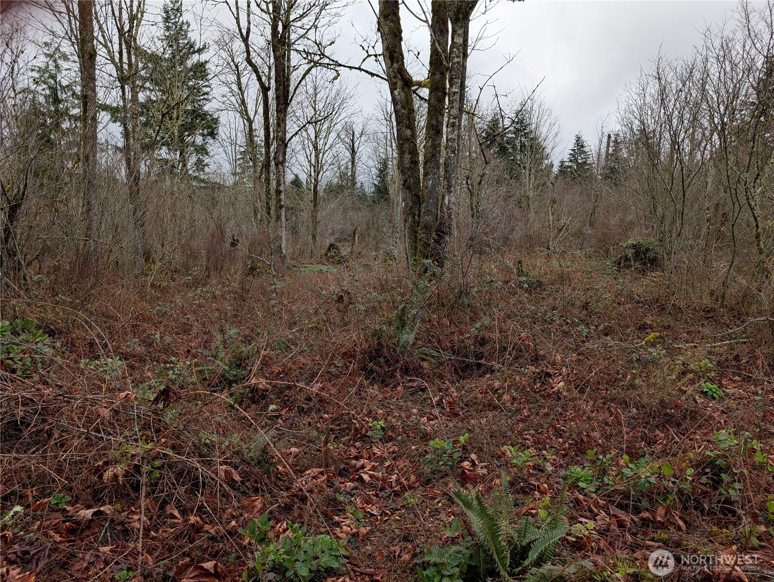 427 XX 156th Street SE, Gold Bar, WA 98251