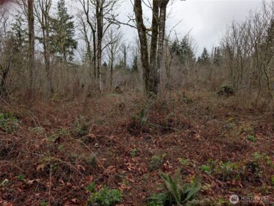 427 XX 156th Street SE, Gold Bar, WA 98251 - Photo 4