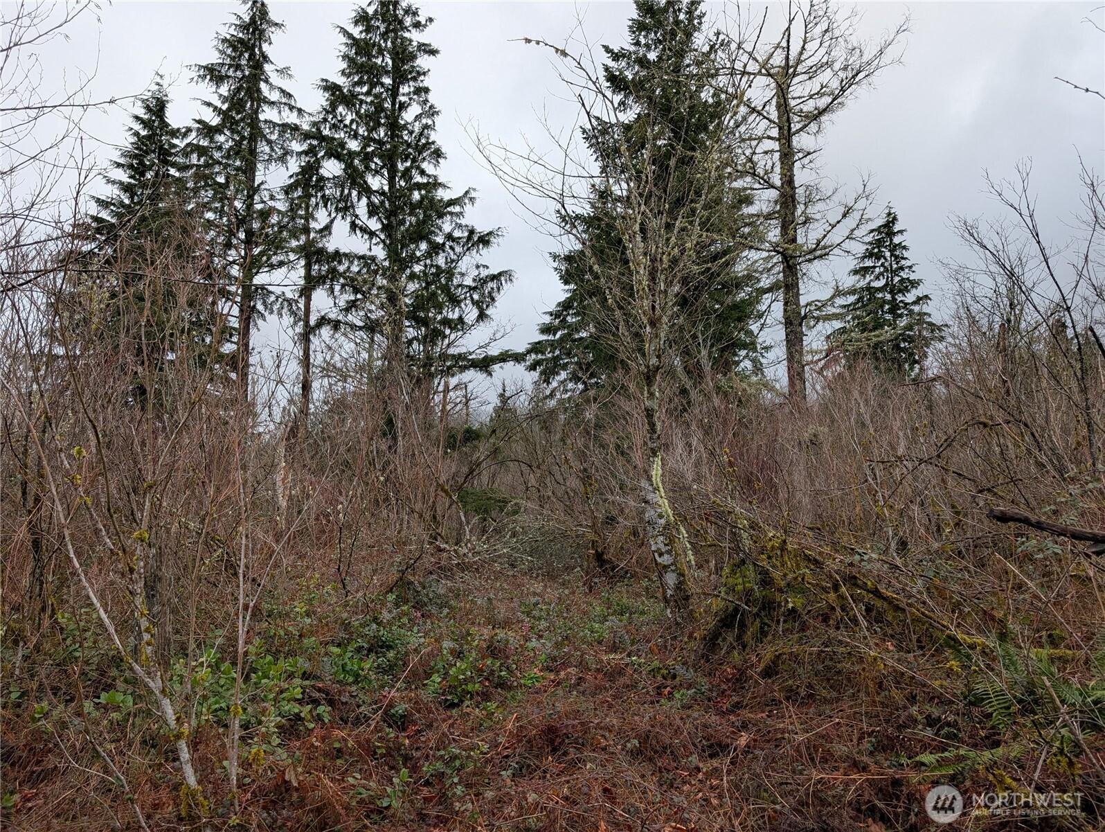 427 XX 156th Street SE, Gold Bar, WA 98251