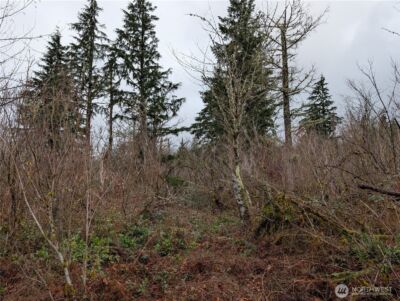 427 XX 156th Street SE, Gold Bar, WA 98251 - Photo 7