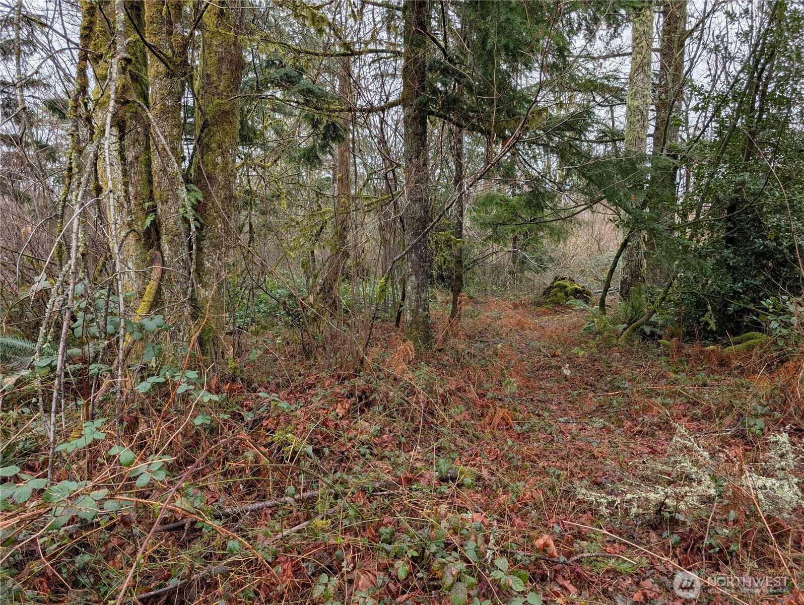 427 XX 156th Street SE, Gold Bar, WA 98251
