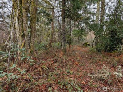 427 XX 156th Street SE, Gold Bar, WA 98251 - Photo 8