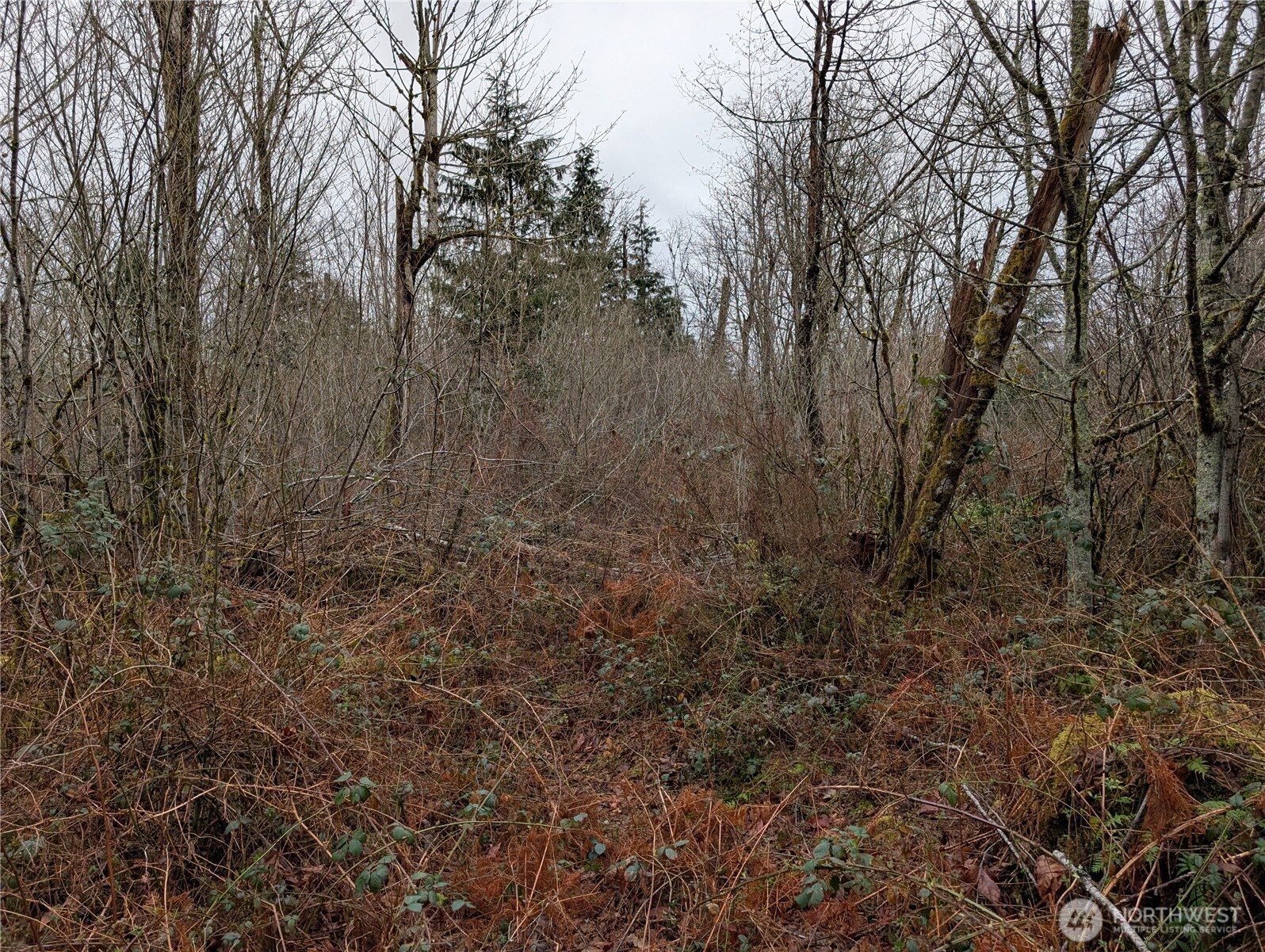 427 XX 156th Street SE, Gold Bar, WA 98251