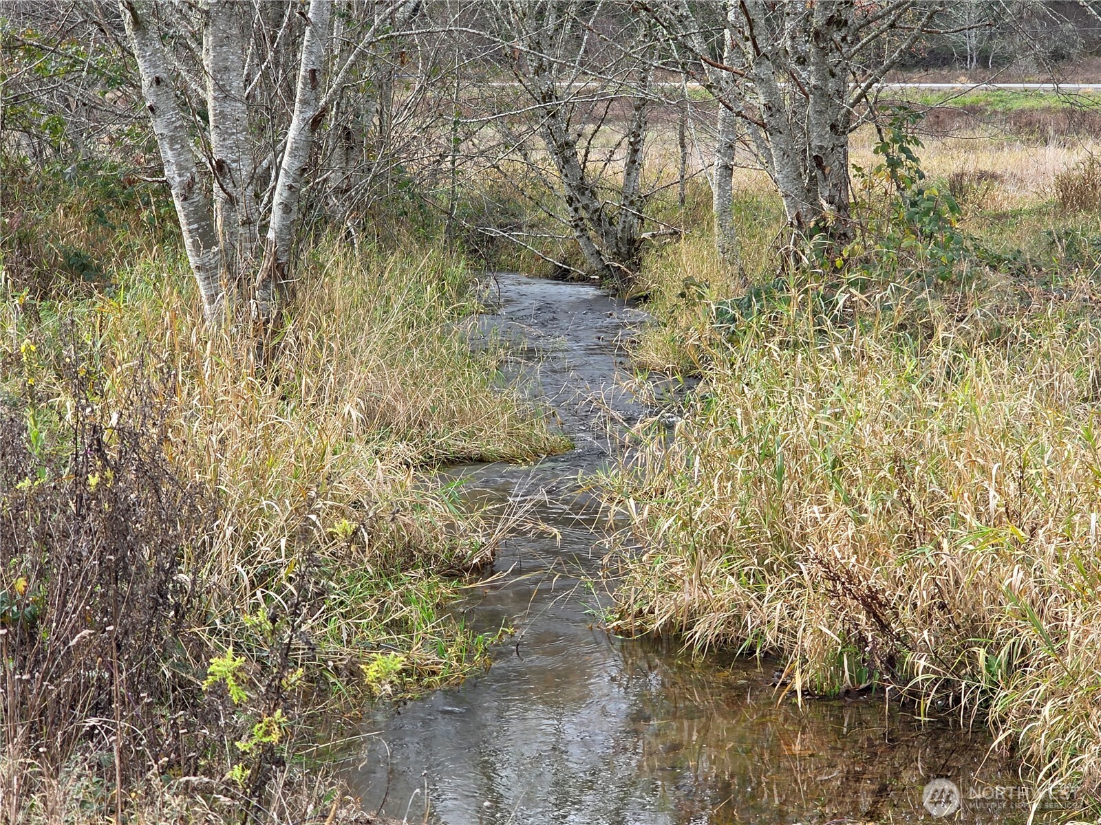 8442 US HWY 12 , Glenoma, WA 98336