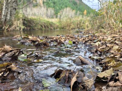 8442 US HWY 12 , Glenoma, WA 98336 - Photo 24