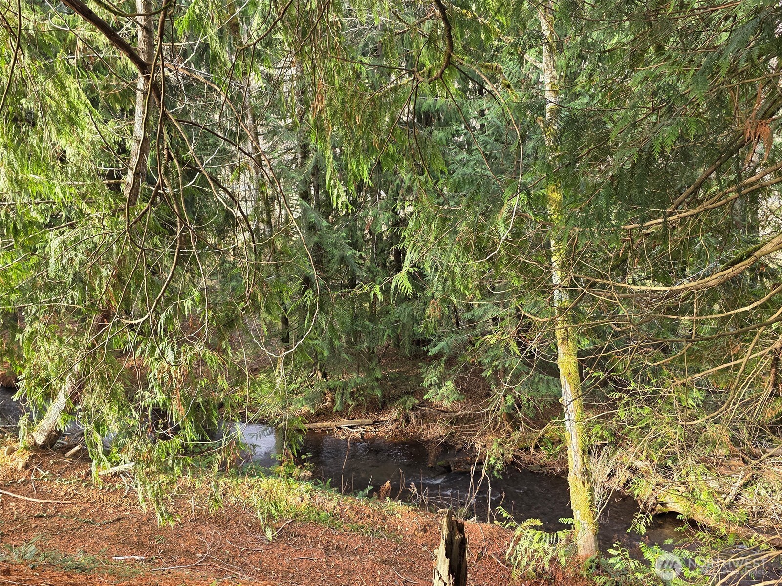 8442 US HWY 12 , Glenoma, WA 98336