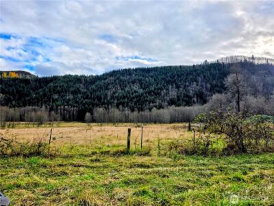 8442 US HWY 12 , Glenoma, WA 98336 - Photo 34