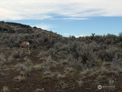 0 Stirrup Pl , Ephrata, WA 98823
