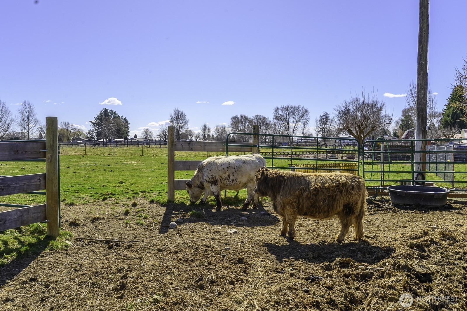 4371 Dunn Street NE, Moses Lake, WA 98837