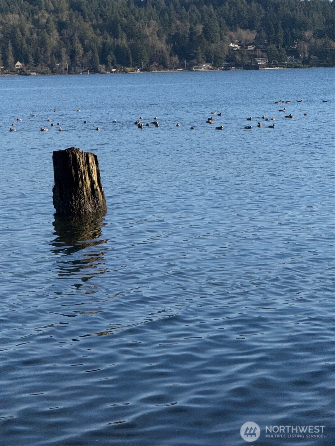 5280 Illahee Road NE, Bremerton, WA 98311