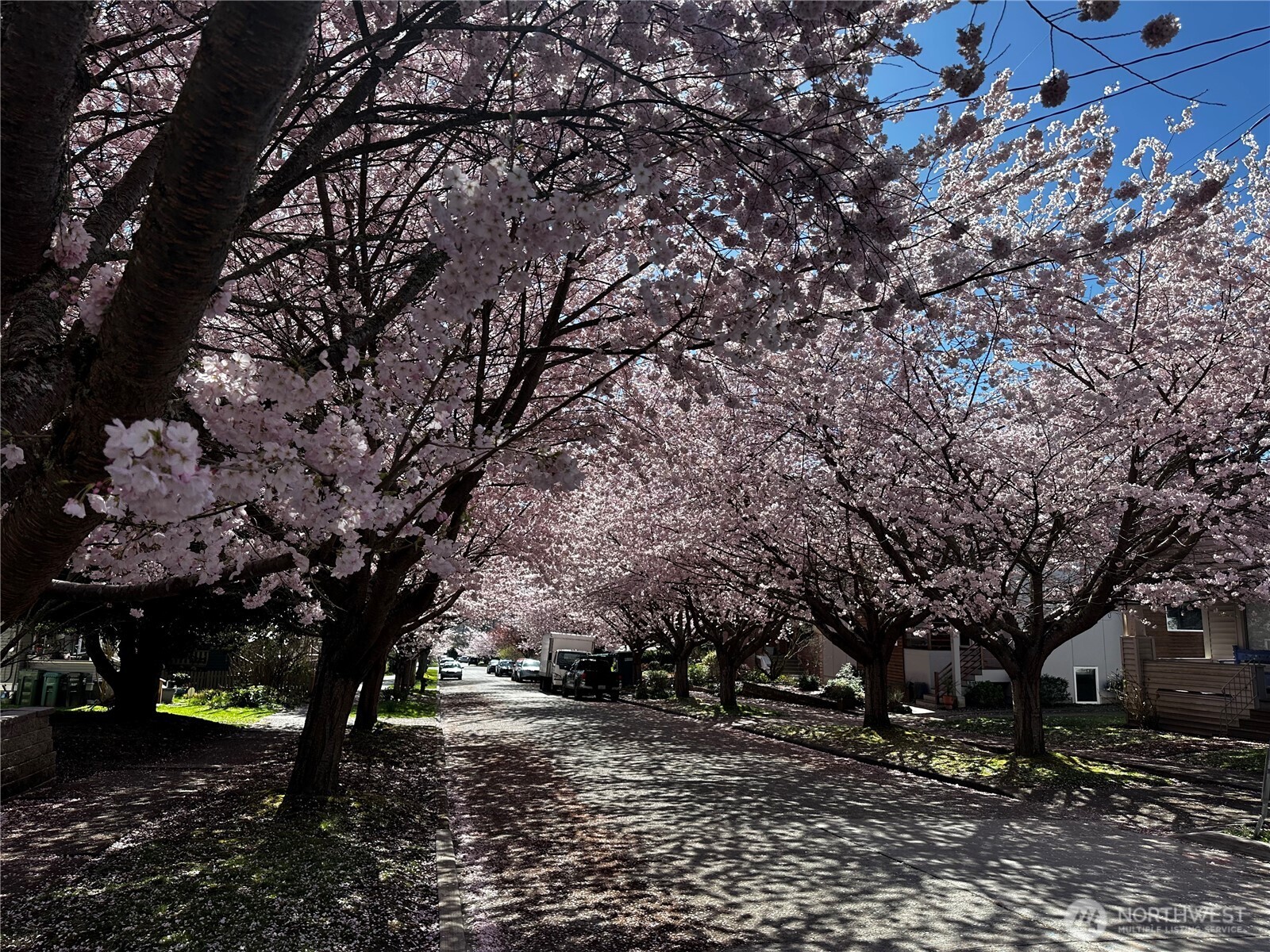 6725 Earl Avenue NW, Seattle, WA 98117