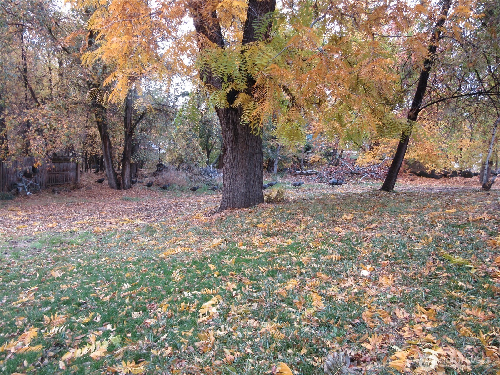 118 E Washington Avenue , Dayton, WA 99328