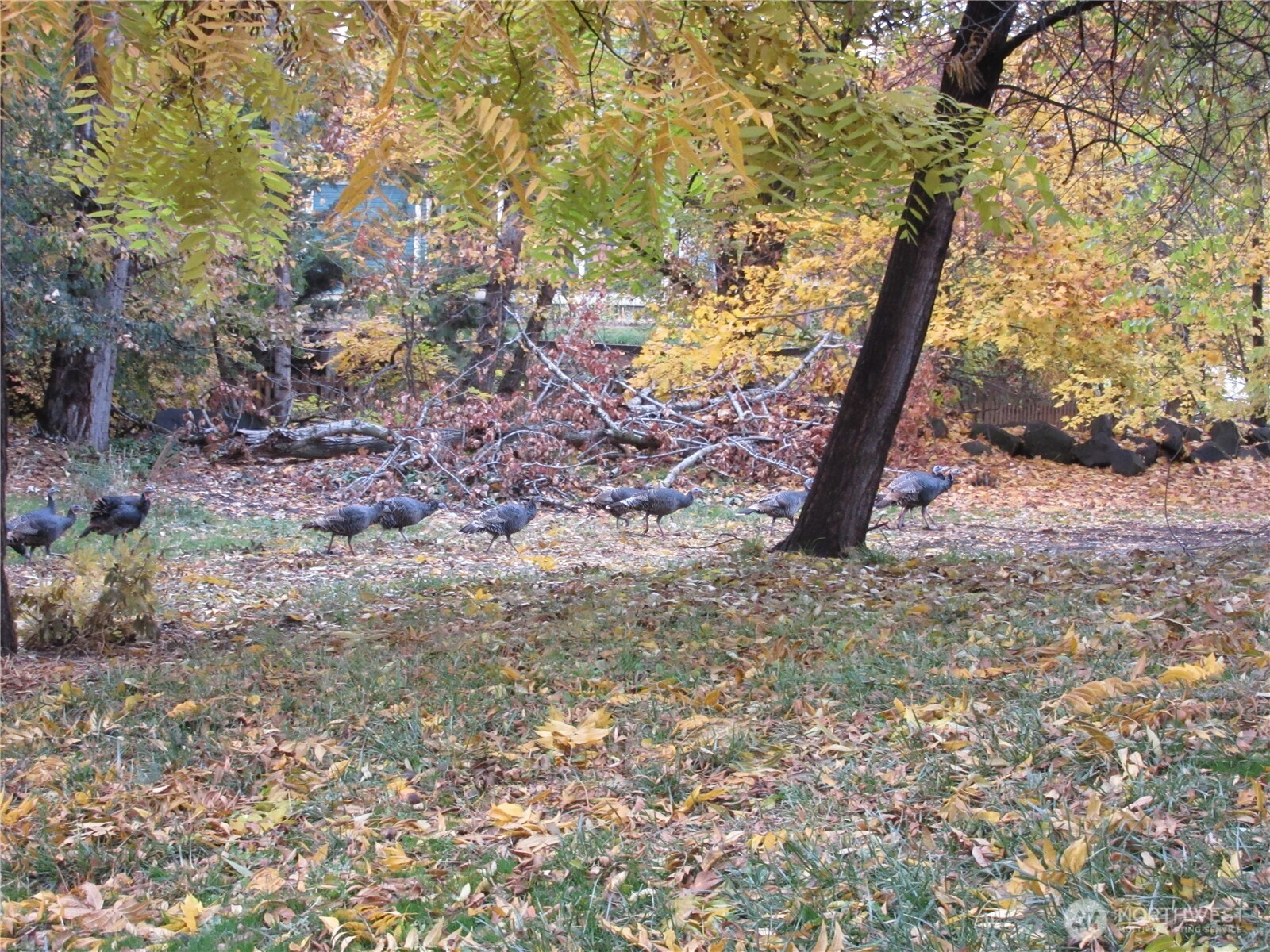 118 E Washington Avenue , Dayton, WA 99328