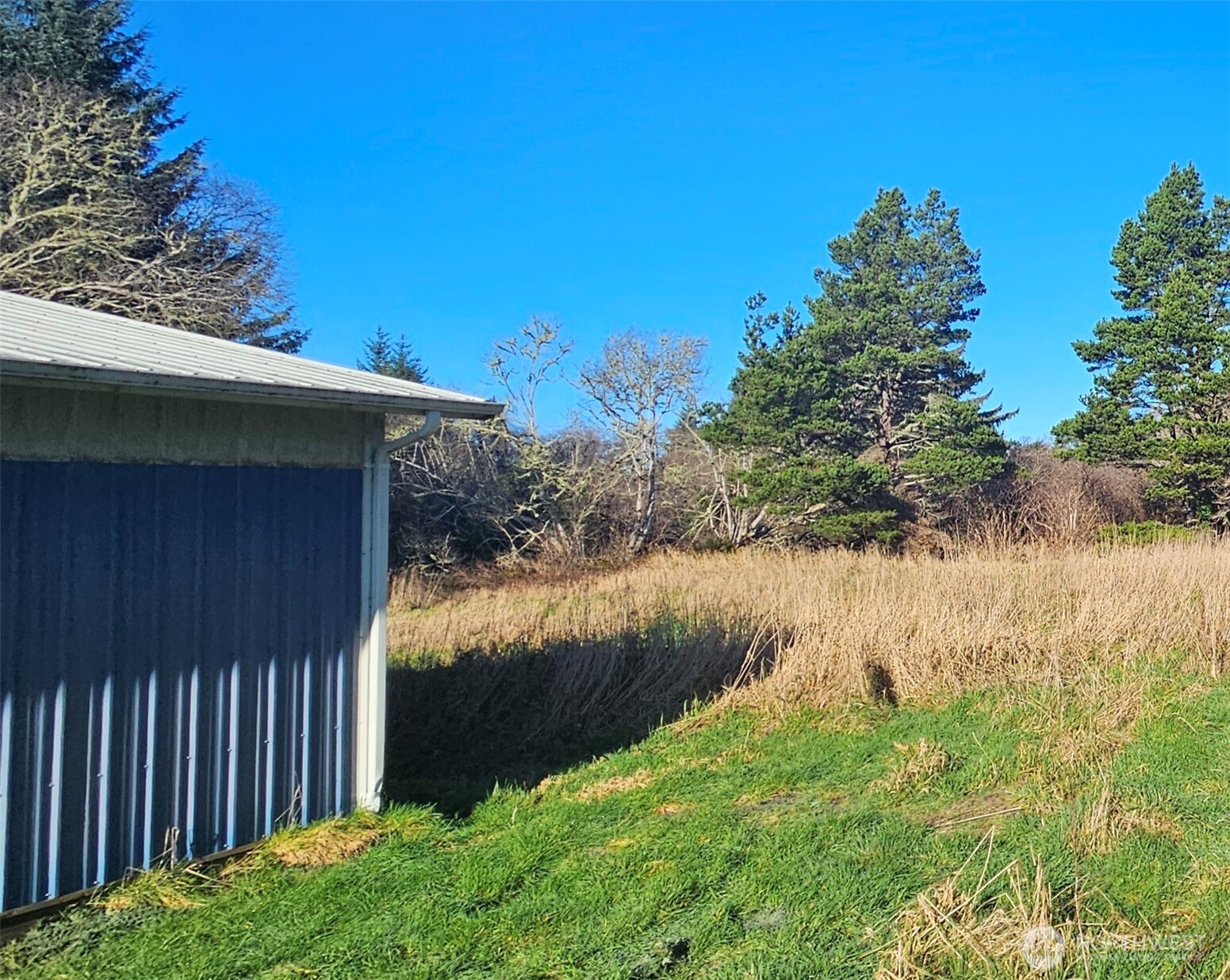 2007 41st Place , Seaview, WA 98644