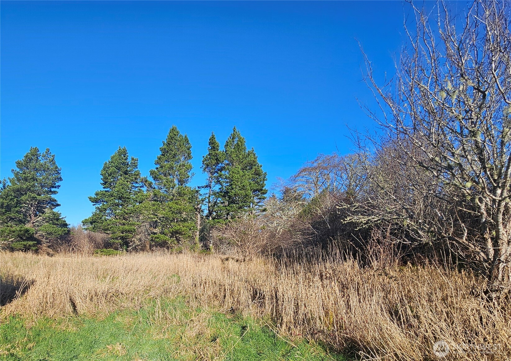 2007 41st Place , Seaview, WA 98644