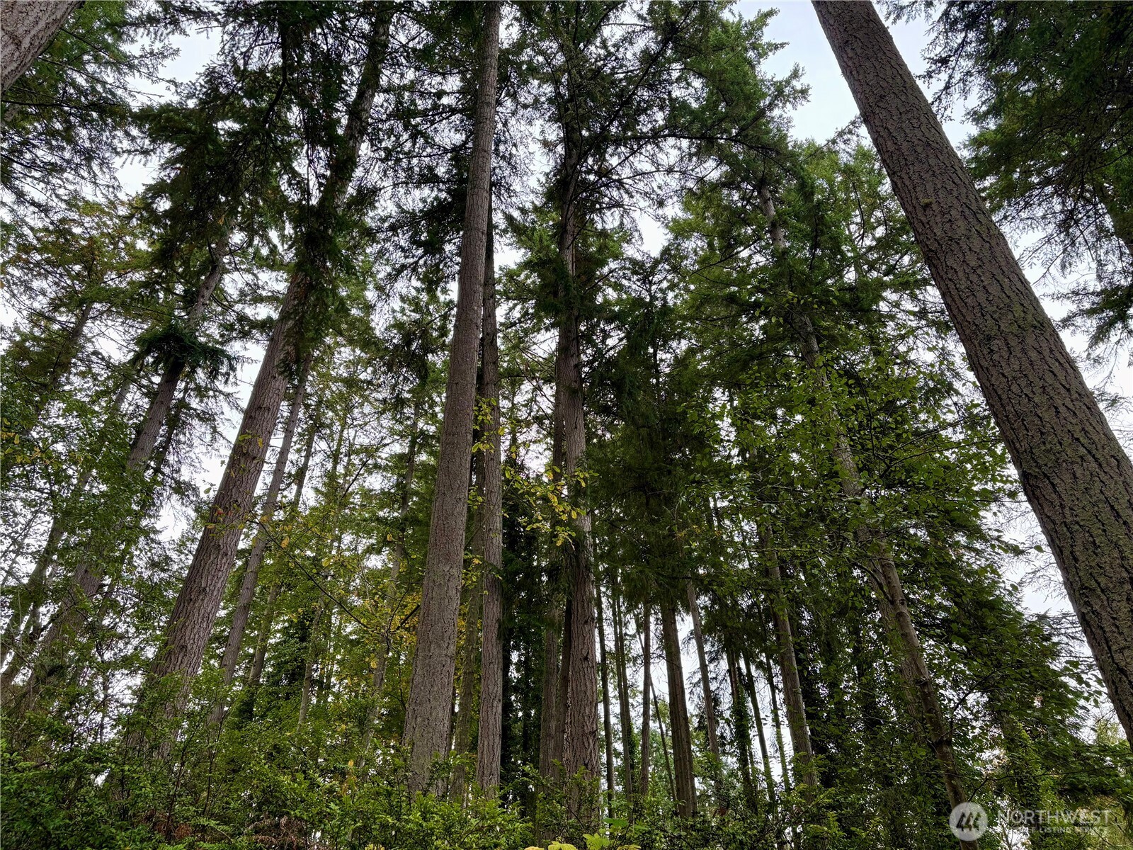 0 Hyak Place , Fox Island, WA 98333
