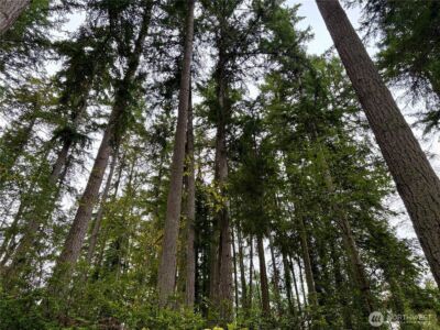 0 Hyak Place , Fox Island, WA 98333 - Photo 1