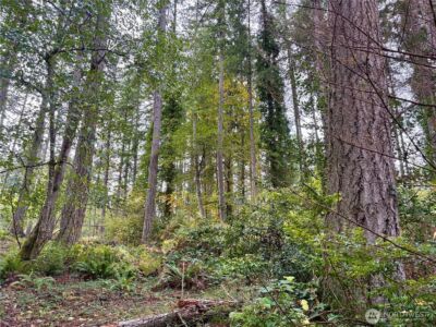 0 Hyak Place , Fox Island, WA 98333 - Photo 12