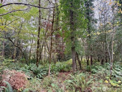 0 Hyak Place , Fox Island, WA 98333 - Photo 13