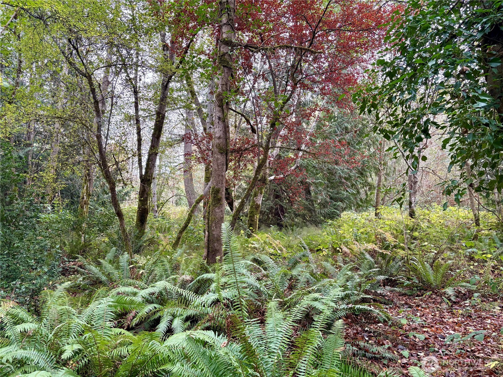 0 Hyak Place , Fox Island, WA 98333