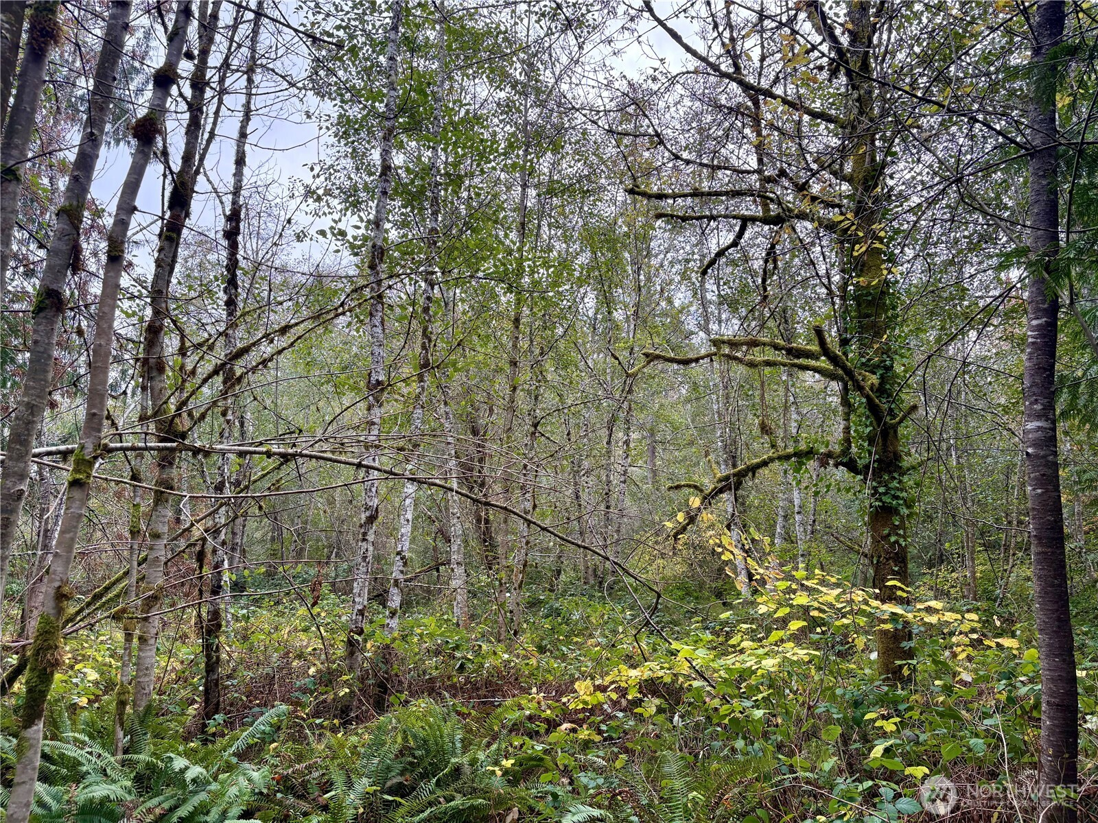 0 Hyak Place , Fox Island, WA 98333